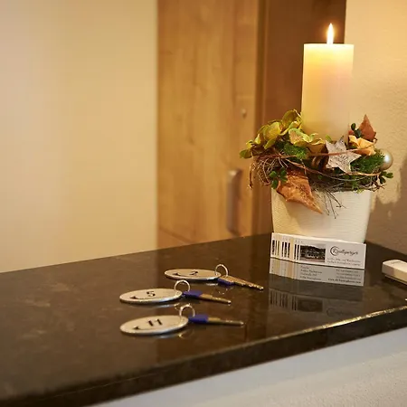 فندق مبيت وإفطار Riedlsperger Hinterglemm