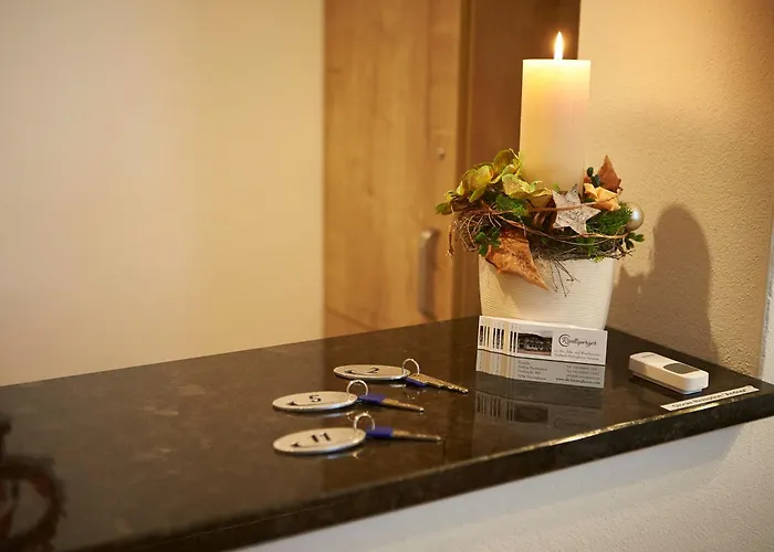 فندق مبيت وإفطار Riedlsperger Hinterglemm