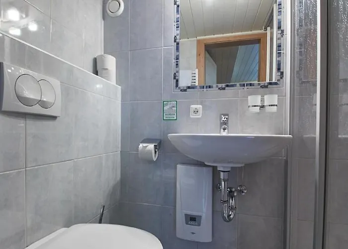 Riedlsperger Hinterglemm فندق مبيت وإفطار سالباخ هينترغليم